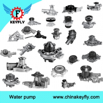 Car water pump