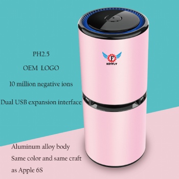 Air Cleaner for Car the haze PM2.5