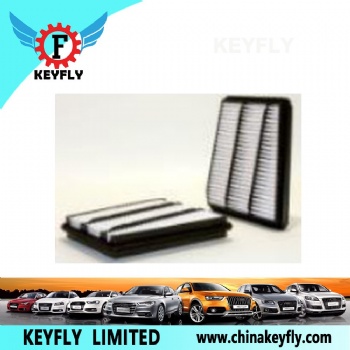 Auto Air Filter 17220-P5A-000 for Honda