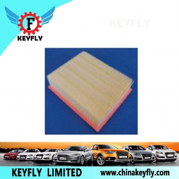 Auto Air Filter for VW