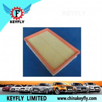 Auto Air Filter for VW