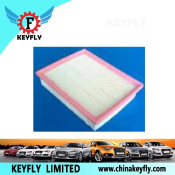 Auto Air Filter 06C 133 843 for VW