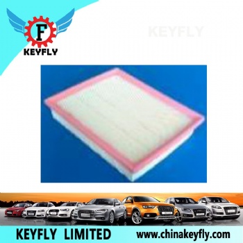 Auto Air Filter for VW