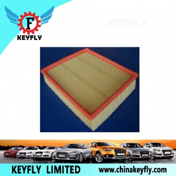Auto Air Filter for VW