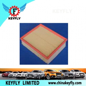 Auto Air Filter 059 133 843 059 133 843A for VW