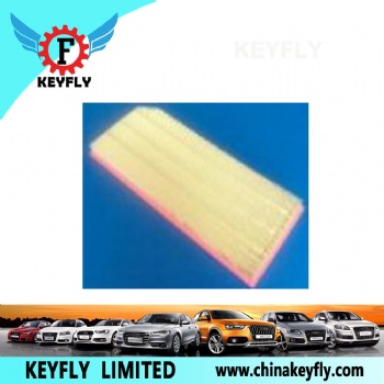 Auto Air Filter 06F 133 843A 1457433102 for VW