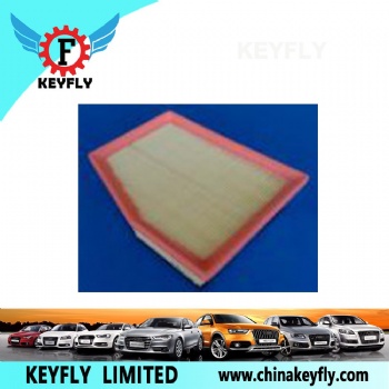 Auto Air Filter 3D0 129 620E for VW
