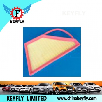 Auto Air Filter 3W0 129 620C for VW