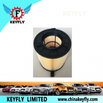 Auto Air Filter 8W0 133 843C for VW