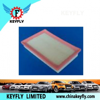 Auto Air Filter 95021102 834 762 for GM