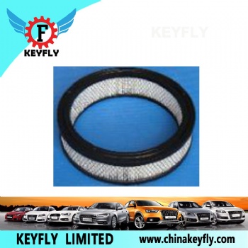 Auto Air Filter 25096103 3392521 for GM