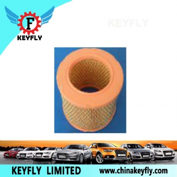 Auto Air Filter 25095707 for GM