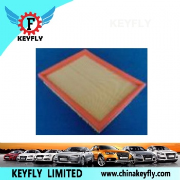 Auto Air Filter 4411279 8200095976 for GM