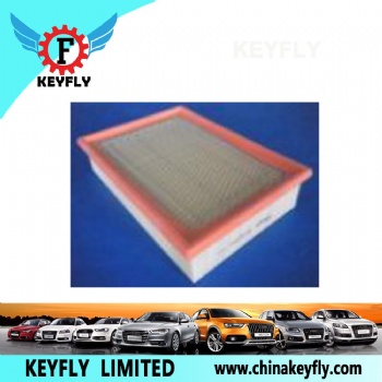 Auto Air Filter for Ford