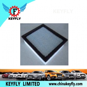 Auto Air Filter for Ford