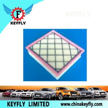 Auto Air Filter DS73-9601-AC 5243186 for Ford
