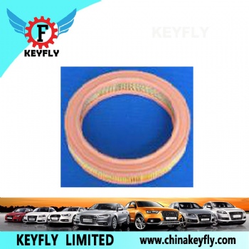 Auto Air Filter 79BF9601AA 93152533 for Ford