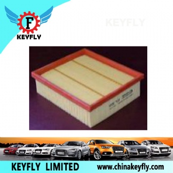 Auto Air Filter for Ford