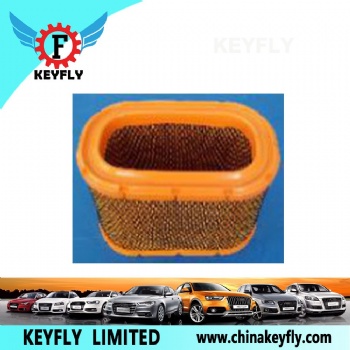 Auto Air Filter 110923009 for Ford