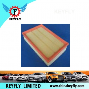 Auto Air Filter for Ford