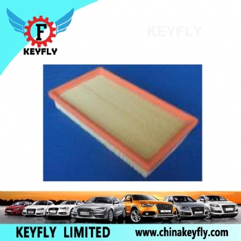 Auto Air Filter 1030652 1050705 for Ford