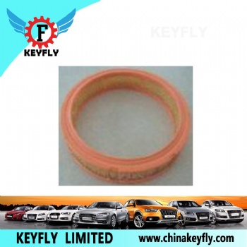 Auto Air Filter D7ZF9601AA D7ZF9601BA for Ford