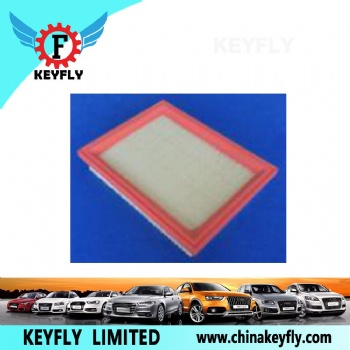 Auto Air Filter 2S619601CA C60113Z40 for Ford