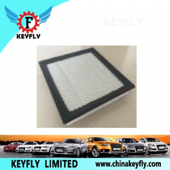 Auto Air Filter for Ford