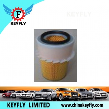 Auto Air Filter for Hyundai/Kia