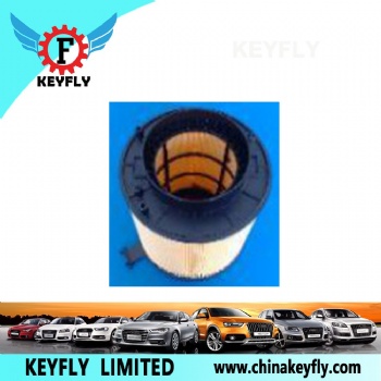 Auto Air Filter 8K0 133 843 for VW
