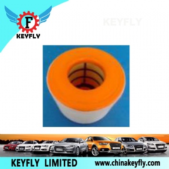 Auto Air Filter 4G0 133 843H 4G0 133 843K for VW