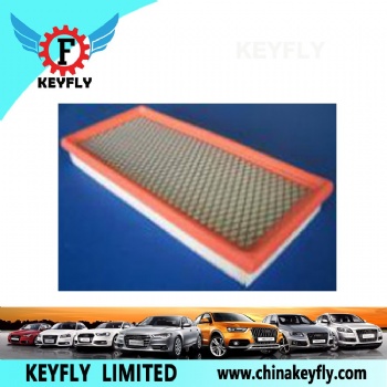 Auto Air Filter for Ford