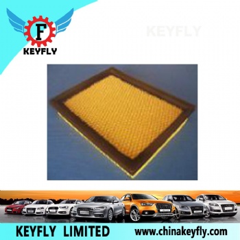 Auto Air Filter 92082656 for Hyundai/Kia
