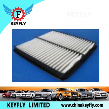 Auto Air Filter 96182220 for Hyundai/Kia
