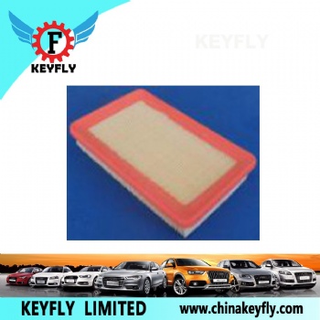 Auto Air Filter 28113-22051 for Hyundai/Kia