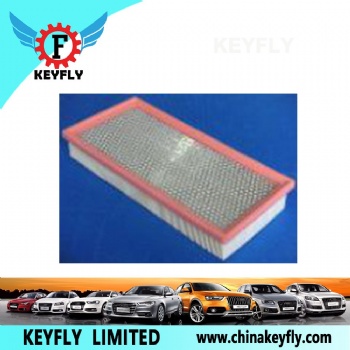 Auto Air Filter for Hyundai/Kia