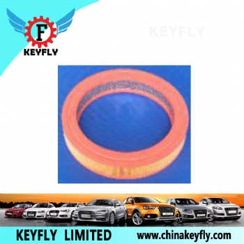 Auto Air Filter 13721258270 13721263958 for BMW