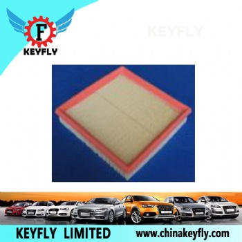 Auto Air Filter 13711247405 13721247404 for BMW