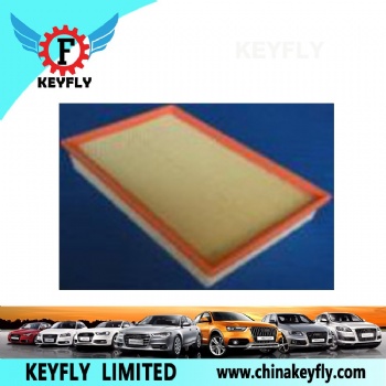 Auto Air Filter 13717256008 13717505007 for BMW
