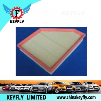 Auto Air Filter for BMW