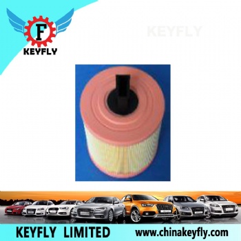 Auto Air Filter 13717536006 for BMW