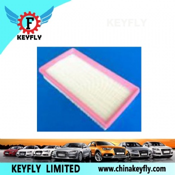 Auto Air Filter 13717593250 13717588285-01 for BMW