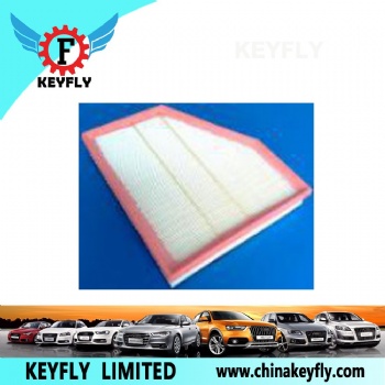 Auto Air Filter 1457433164 13717793647 for BMW