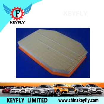 Auto Air Filter 13717590597 for BMW