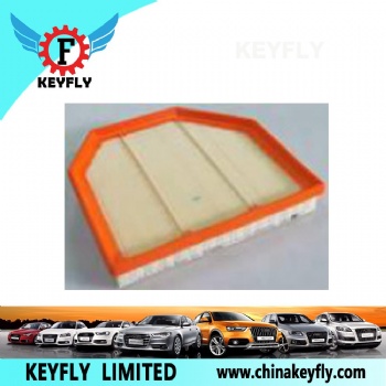 Auto Air Filter 13717843283-01 for BMW