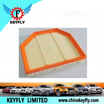 Auto Air Filter 13717843284-01 for BMW