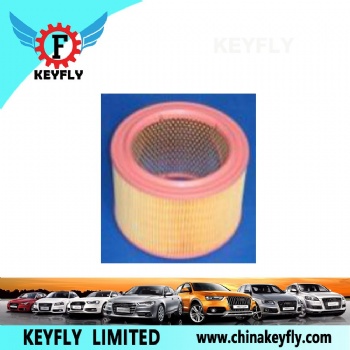 Auto Air Filter 5017457 25062211 for Peugeot