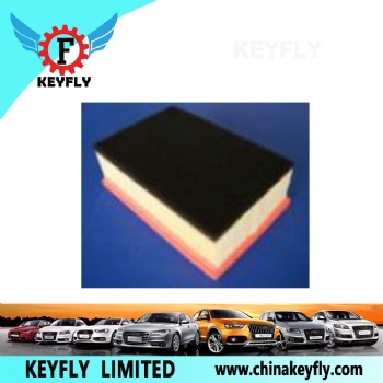 Auto Air Filter 1444-RP for Peugeot