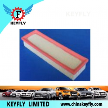 Auto Air Filter 1444-X1 1444-EE for Peugeot