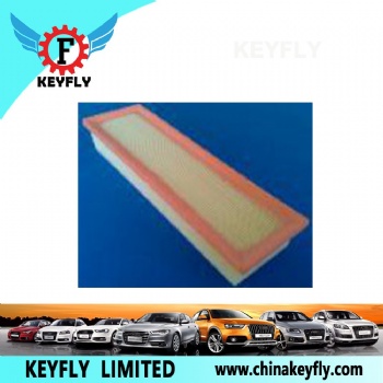 Auto Air Filter 1444-X4 1444-EF for Peugeot